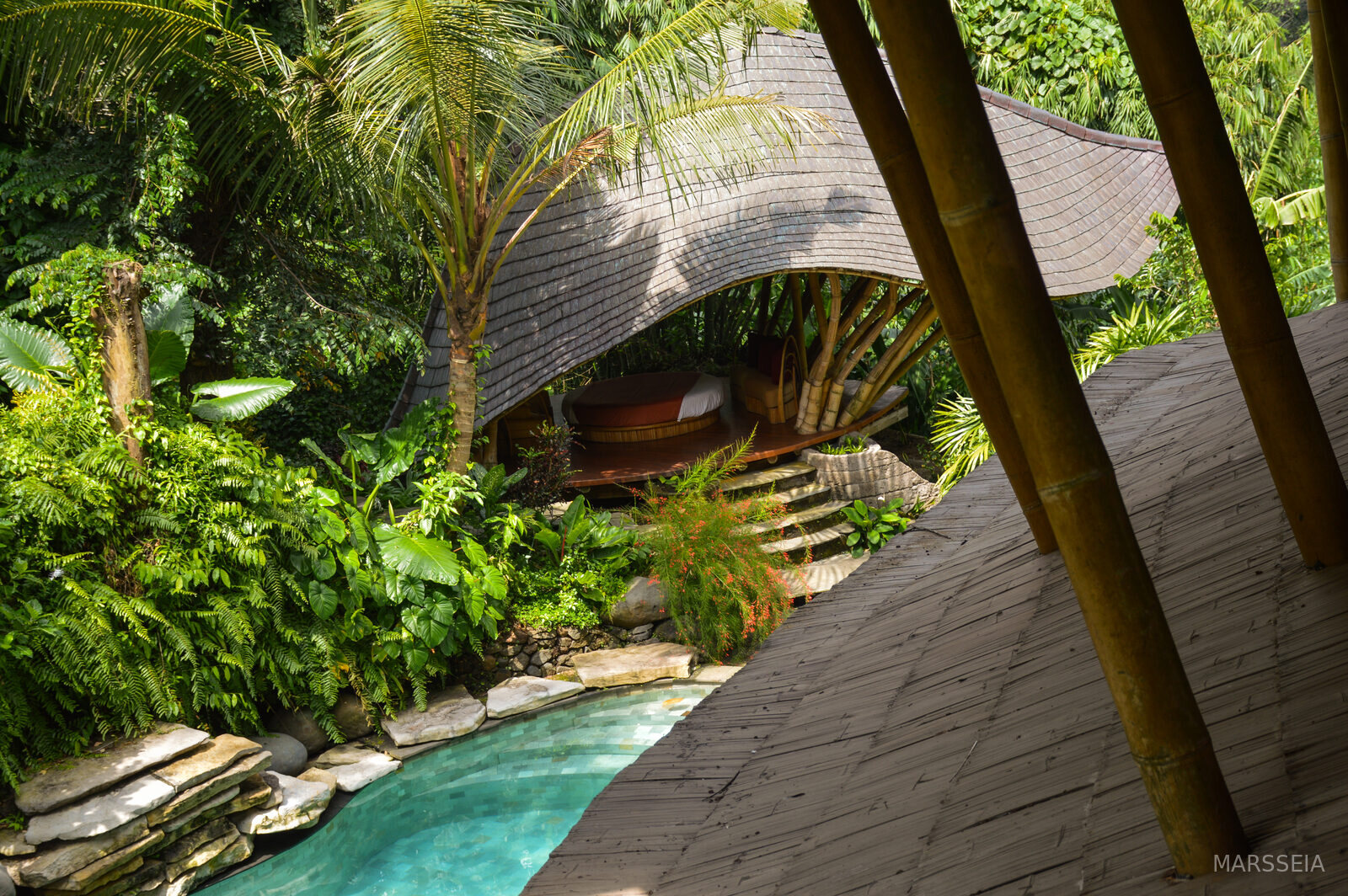 Bamboo, water and jungle