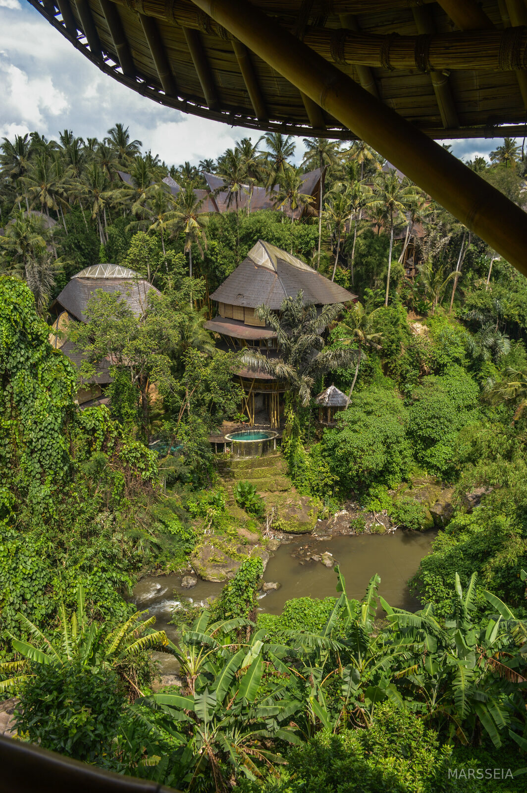The bamboo house