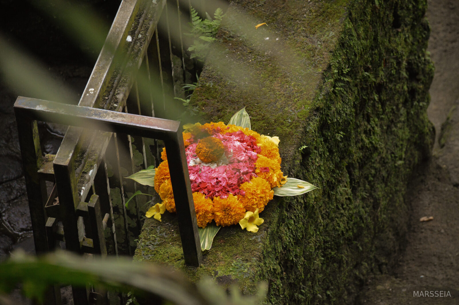 A flower offering on a mossy stone, Bali