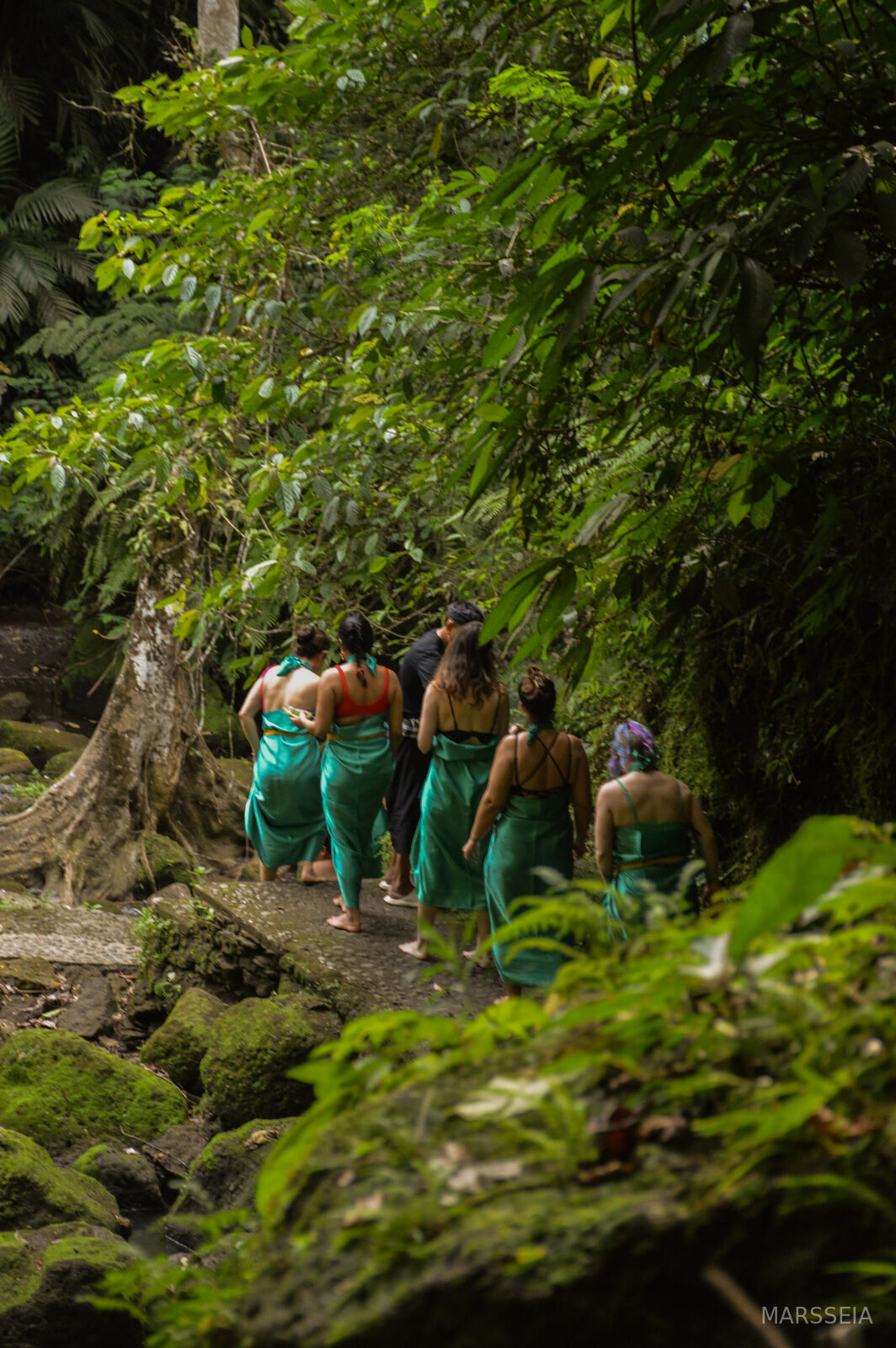 Walking into the jungle, Bali
